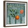 Fresh Oranges-Mindy Sommers-Framed Giclee Print