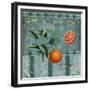 Fresh Oranges-Mindy Sommers-Framed Giclee Print