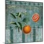 Fresh Oranges-Mindy Sommers-Mounted Giclee Print