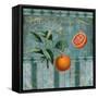 Fresh Oranges-Mindy Sommers-Framed Stretched Canvas