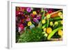 Fresh Organic Vegetables at a Farmers' Market, Savannah, Georgia, USA-Joanne Wells-Framed Photographic Print