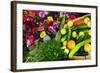 Fresh Organic Vegetables at a Farmers' Market, Savannah, Georgia, USA-Joanne Wells-Framed Photographic Print