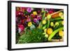 Fresh Organic Vegetables at a Farmers' Market, Savannah, Georgia, USA-Joanne Wells-Framed Photographic Print