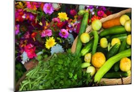 Fresh Organic Vegetables at a Farmers' Market, Savannah, Georgia, USA-Joanne Wells-Mounted Photographic Print