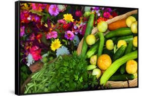 Fresh Organic Vegetables at a Farmers' Market, Savannah, Georgia, USA-Joanne Wells-Framed Stretched Canvas