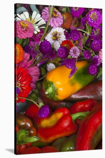 Fresh Organic Vegetables at a Farmers' Market, Savannah, Georgia, USA-Joanne Wells-Stretched Canvas