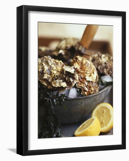 Fresh Oysters and Lemon-Debi Treloar-Framed Photographic Print