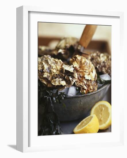 Fresh Oysters and Lemon-Debi Treloar-Framed Photographic Print