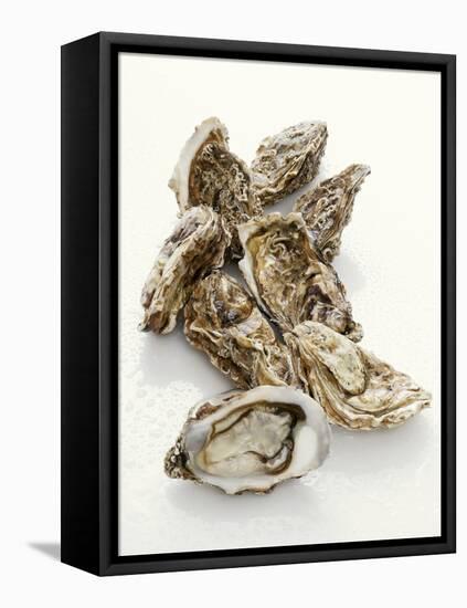 Fresh Oysters with Drops of Water-Kröger & Gross-Framed Stretched Canvas