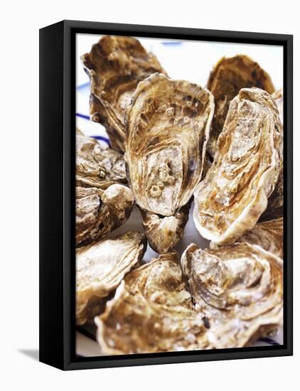 Fresh Oysters-Alain Caste-Framed Stretched Canvas