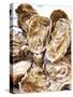 Fresh Oysters-Alain Caste-Stretched Canvas