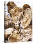 Fresh Oysters-Alain Caste-Stretched Canvas