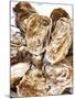 Fresh Oysters-Alain Caste-Mounted Photographic Print