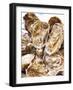 Fresh Oysters-Alain Caste-Framed Photographic Print