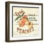 Fresh Peaches-David Cater Brown-Framed Art Print