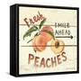 Fresh Peaches-David Cater Brown-Framed Stretched Canvas