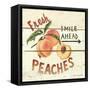 Fresh Peaches-David Cater Brown-Framed Stretched Canvas