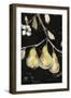 Fresh Pears I-Jennifer Goldberger-Framed Art Print