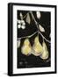 Fresh Pears I-Jennifer Goldberger-Framed Art Print