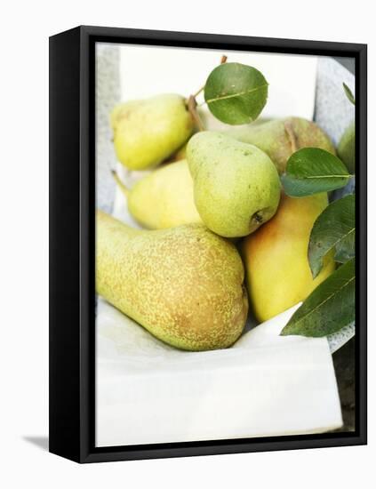 Fresh Pears with Leaves in Bowl-null-Framed Stretched Canvas