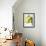 Fresh Pears with Leaves in Bowl-null-Framed Photographic Print displayed on a wall