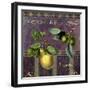 Fresh Pears-Mindy Sommers-Framed Giclee Print