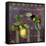 Fresh Pears-Mindy Sommers-Framed Stretched Canvas