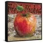 Fresh Picked Apple-Todd Williams-Framed Stretched Canvas