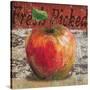 Fresh Picked Apple-Todd Williams-Stretched Canvas