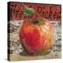 Fresh Picked Apple-Todd Williams-Stretched Canvas