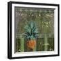 Fresh Pineapples-Mindy Sommers-Framed Giclee Print