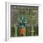 Fresh Pineapples-Mindy Sommers-Framed Giclee Print