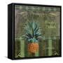 Fresh Pineapples-Mindy Sommers-Framed Stretched Canvas