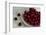 Fresh, Pitted Red Cherries in a Glass Bowl-Cynthia Classen-Framed Photographic Print