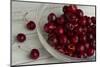 Fresh, Pitted Red Cherries in a Glass Bowl-Cynthia Classen-Mounted Photographic Print
