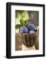 Fresh Plums in a Basket-Eising Studio - Food Photo and Video-Framed Photographic Print