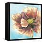 Fresh Poppies II-Margaret Ferry-Framed Stretched Canvas