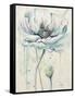 Fresh Poppies II-Patricia Pinto-Framed Stretched Canvas