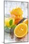 Fresh Pressed Orange Juice and Oranges-Jana Ihle-Mounted Photographic Print