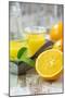 Fresh Pressed Orange Juice and Oranges-Jana Ihle-Mounted Photographic Print