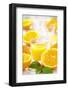 Fresh Pressed Orange Juice and Oranges-Jana Ihle-Framed Photographic Print