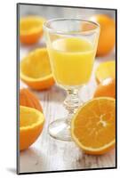 Fresh Pressed Orange Juice and Oranges-Jana Ihle-Mounted Photographic Print