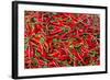 Fresh Produce for Sale at Market at Chau Doc-Michael Nolan-Framed Photographic Print