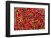 Fresh Produce for Sale at Market at Chau Doc-Michael Nolan-Framed Photographic Print