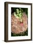 Fresh Radish on the Birch Stumb. Vegetable Harvesting on a Farm in Russia. Country Lifestyle Potogr-NaturePhotography-Framed Photographic Print