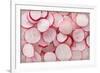 Fresh Radishes-Steve Gadomski-Framed Photographic Print