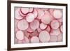 Fresh Radishes-Steve Gadomski-Framed Photographic Print