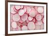 Fresh Radishes-Steve Gadomski-Framed Photographic Print