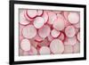 Fresh Radishes-Steve Gadomski-Framed Photographic Print