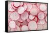 Fresh Radishes-Steve Gadomski-Framed Stretched Canvas